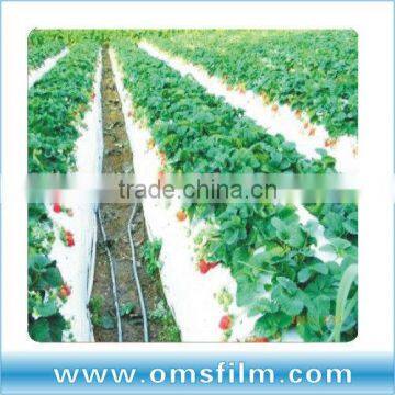 White plastic sheeting,white plastic mulch,white reflective mulch film