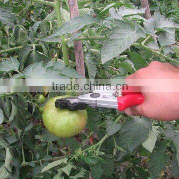 Multi-function Fruit And Melon Picking Clamp