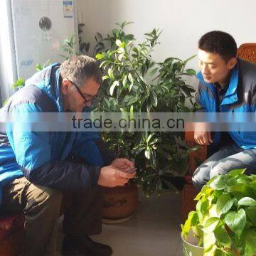 Factort-directly&fancy Plywood for Funiture photo-6