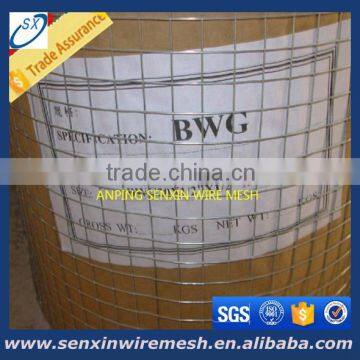 galvanized welded wire mesh/hot dip galvanized welded wire mesh