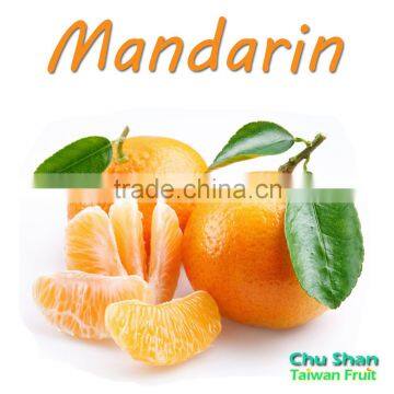 Mandarin orange citrus fruit with sweet taste