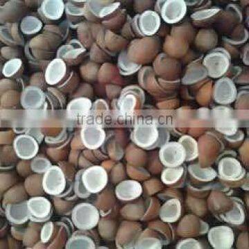 dried coconut meat ball copra from india