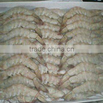 Frozen Vannamei Shrimp
