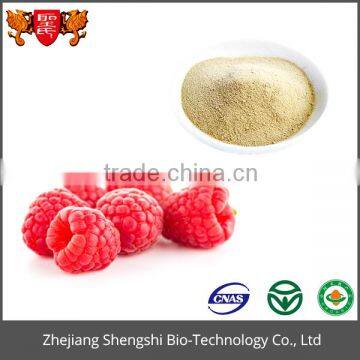 Wholesale bilberry extract with best price