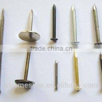 Flat Head Black Common Nail/Stainless Steel Ring Shank Nails With Cheap Price