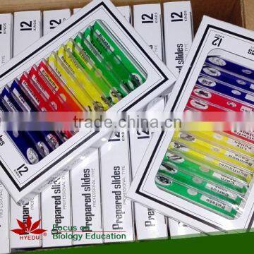 Prepared Slides , Insecta W.m. Slides,Glass Colorful Prepared Slides photo-3