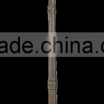 CE &ROHS IP65 Tradition Outdoor Induction Street Light photo-5