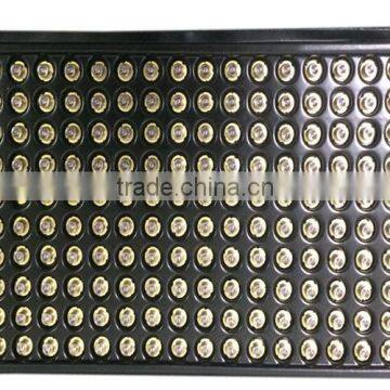 808nm FP Laser Diode 300mW TO-18 TO-Can photo-2