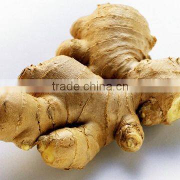 Dried Ginger Whole