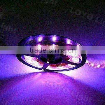 5050 300SMD waterproof black LED light Strip