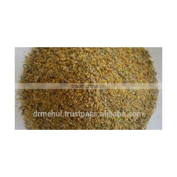 Cuminum Cyminum photo-2