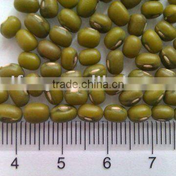 Organic Green Mung Bean( 2010 Crop, Heilongjiang Origin. Hps quality)