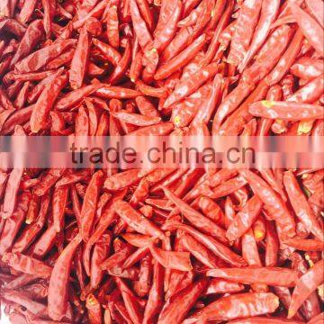 Chilli
