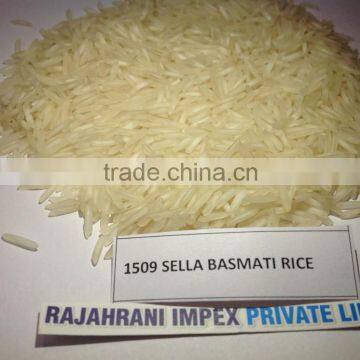 1509 India Top Quality Basmati Rice