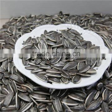 Hulled hybrid of Sunflower Seeds China Origin 5009 New corp