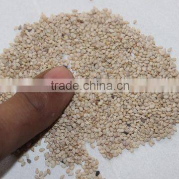 White Sesame Seed