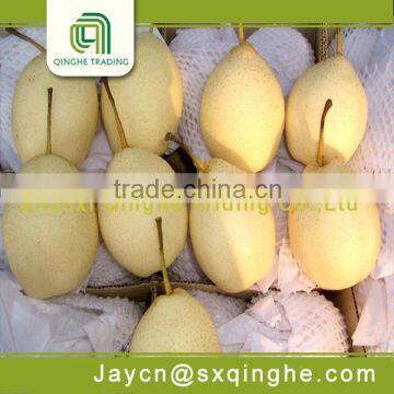 2015 Chinese high quality ya pear