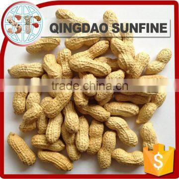 Buy raw organic roasted peanut in shell