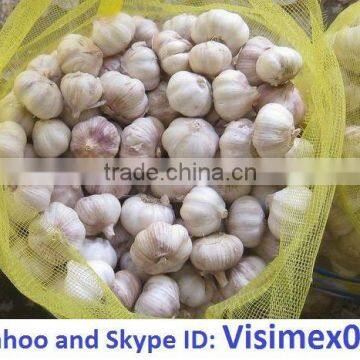 WHITE GARLIC (website&Yahoo: visimex06)