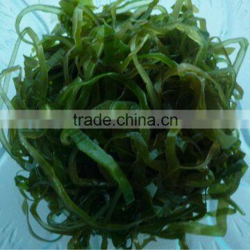 New product highly recommend:Oven dry cut sea kelp laminaria