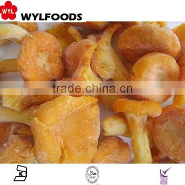 2016 IQF frozen Chanterelles with best quality