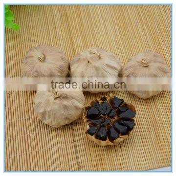 Food Type Chinese Aged Black Garlic