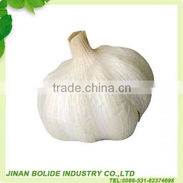 Chinese natural garlic hot sale price