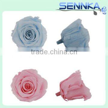 Wholesale real touch artificial decorative luxury preserved rose flower