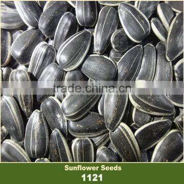 Bulk Chinese Confectionery Sunflower Seeds 1121