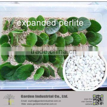 High Quality Horticulture Perlite