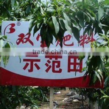 Soluble NPK Chemical Fertilizer 14-6-30 photo-6