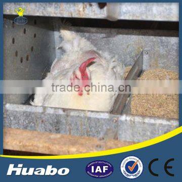 Golden Supplier High Quality Automatic Egg Laying Nest for Chicken Farms