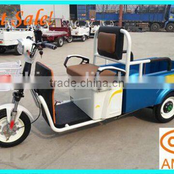 Electric Driving Type and Cargo Use For Open Body Tricycle, China Electric Tricycle for Cargo, Amthi photo-5