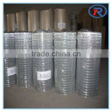 Best Selling Products Welded Mesh for Made in China/galvanized Welded Iron Wire Mesh/galvanized After Welding Cloth photo-5