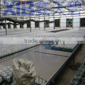 Agricultural glass greenhouses with outside shading screen