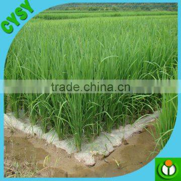 Factory 20/70 Micron Biodegradable Mulch Film Price photo-3