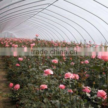 100mm Pvc Plastic Film Covered Tunnel Greenhouse For Private Agicultural Planting photo-5