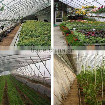 Agriculture Tunnel Plastic Tomato Commercial Greenhouse photo-3