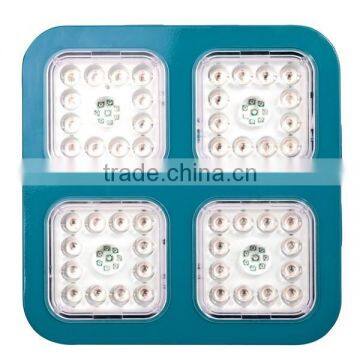 Plant Tissue Culture Led Grow Light Kits 240w photo-3
