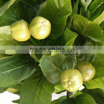 Ornamental Green Apple Tree Artificial Decorative Fruits Tree photo-3