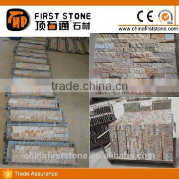 FSSW-470 New Products Beige Sandstone Cladding Culture Stone