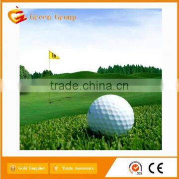 2 pcs promotion golf ball in bluk