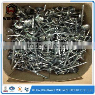Manufacturers of Umbrella Head Roofing Nails 9G 2.5" photo-3