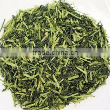 Japanese Green Tea Powder Produced in Fukuoka Japan for Wholesale photo-6
