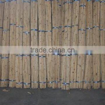 White Malacca, Mantang, Malacca, White Cane, Rattan, Cane, Rattan Cane, Rattan Pole, Pole, Cane Pole photo-5