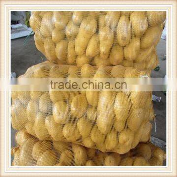 PP leno mesh bag for vegetable