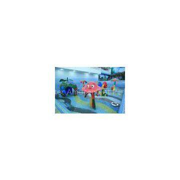 Funny Spray Aqua Park Equipment for Children / Kid Water Playground