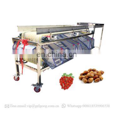 Stainless Steel Kiwi Potato Mango Fruit Grading And Sorting Machine Price photo-3
