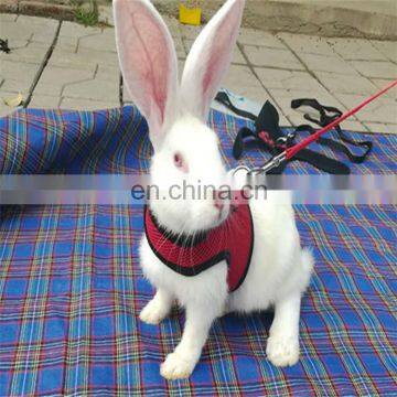 Hamster Bunny Chest Strap Harnesses Pet Rabbits Harness With Leash photo-5