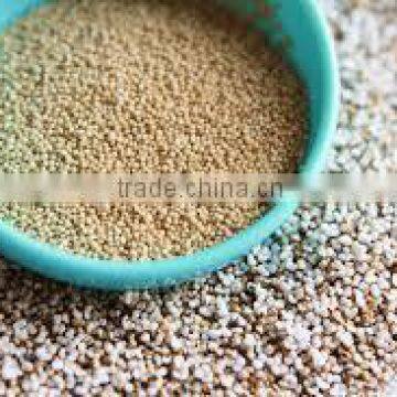 Premium Quality Amaranth Seeds Exporters